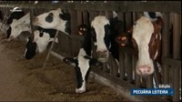 Crise na pecuária leiteira gaúcha é tema de debate na CDH