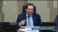 Representante da Fundação Amazônia Sustentável explica trabalho para CPI das ONGs