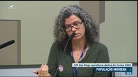 Representantes do IBGE explicam na CPI das ONgs aumento da população indígena
