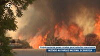 Projeto aumenta pena e multa para incêndios intencionais