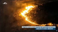 Senadores cobram investimentos para combate a queimadas no Pantanal