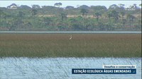 Abertura à visitação pode ser aliada da preservação ecológica, aponta audiência