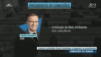 Confira quem são os presidentes e vices eleitos para as comissões do Senado