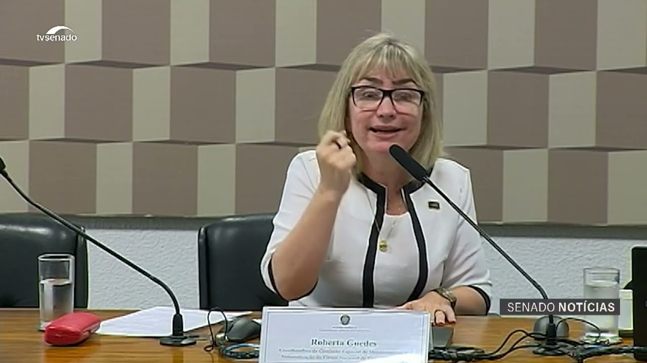 Vídeo: CE recebe sugestões sobre investimentos e democratização do ensino
