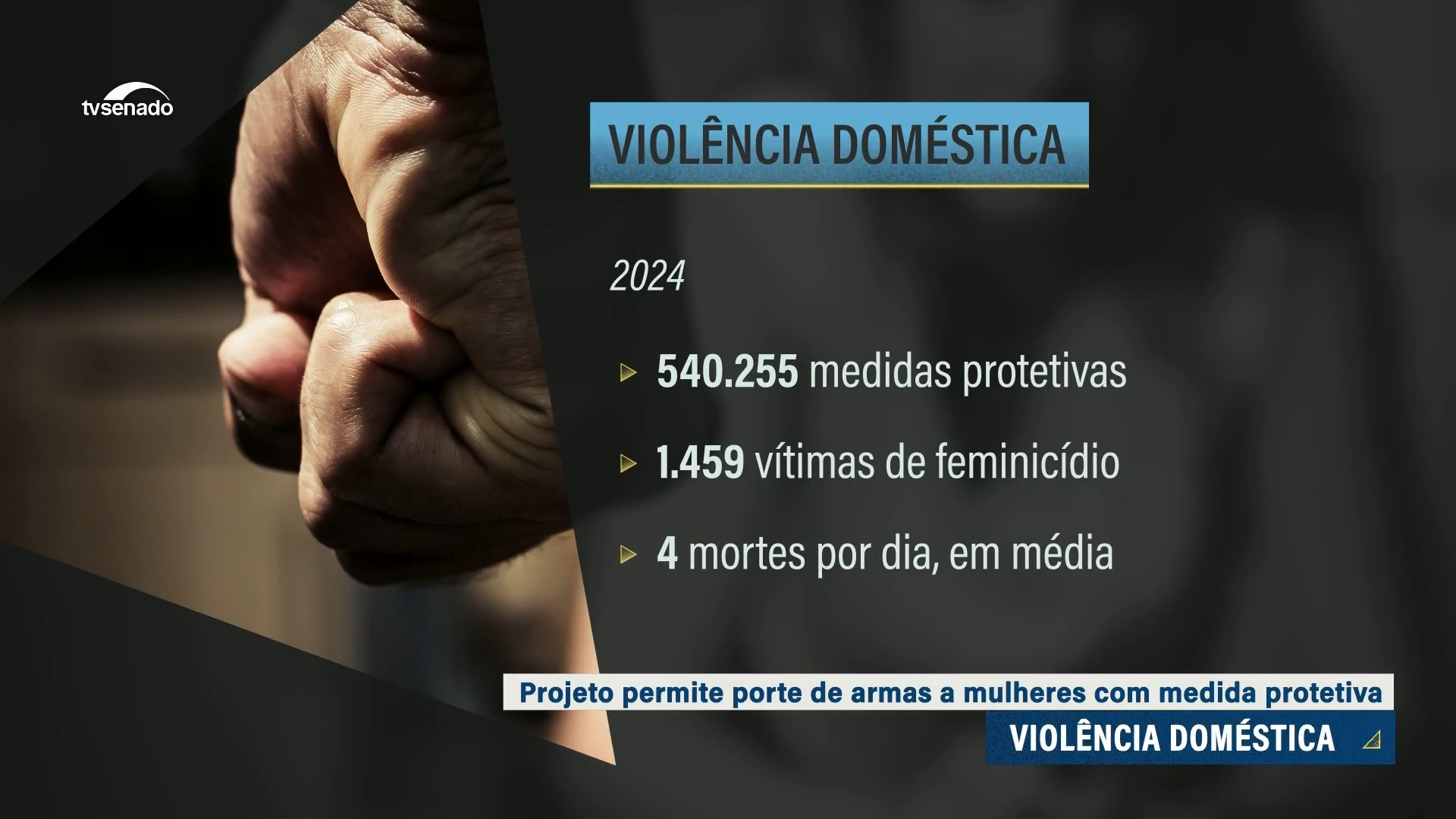 Vídeo: Porte de arma para mulher sob medida protetiva tem aprovação da CDH