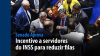Senado Aprova: incentivo a servidores do INSS para reduzir filas