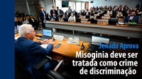 Senado Aprova: misoginia deve ser tratada como crime de discriminação