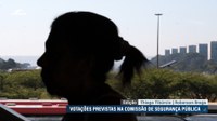 Combate à violência doméstica está na pauta da Comissão de Segurança Pública