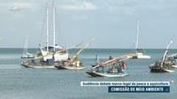 Na CMA, debatedores defendem leis separadas para pesca e aquicultura