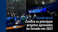 Senado Aprova: confira os principais projetos aprovados no Senado em 2025