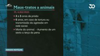 Tipificação de crime de negligência contra animais segue à CCJ