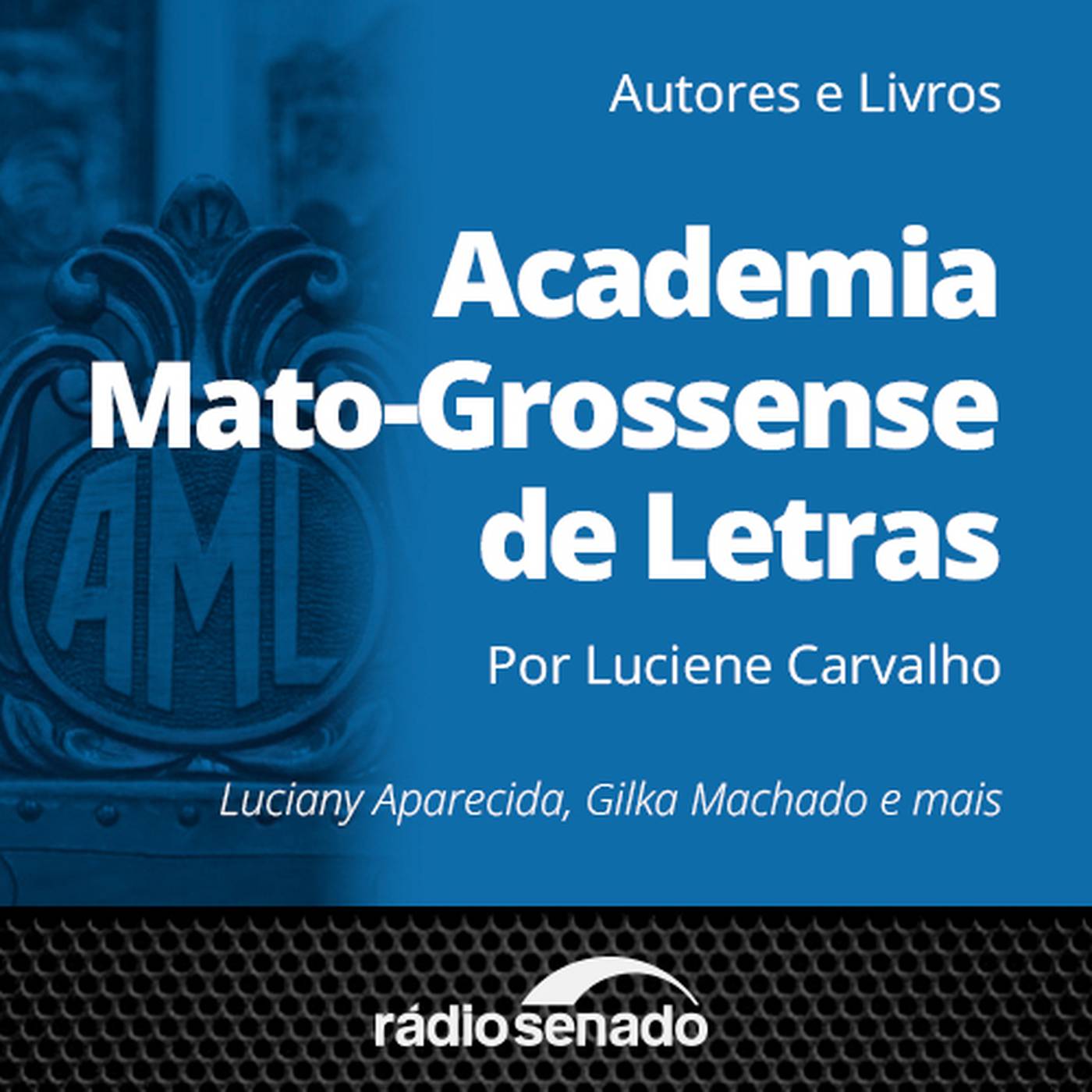 A Academia Mato-Grossense de Letras é uma casa múltipla e democrática, diz Luciene Carvalho, presidente da AML