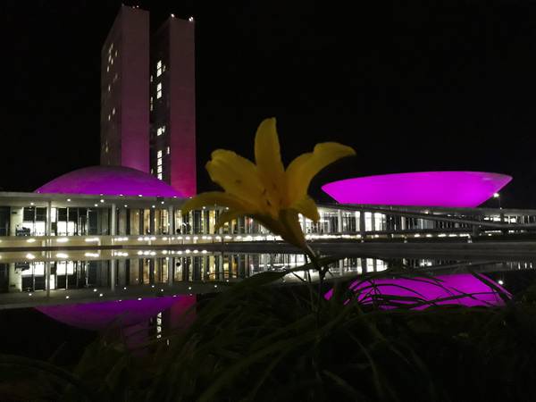 Lançamento da campanha Outubro Rosa marca oficialmente o início das atividades de prevenção ao câncer de mama. 

O Palácio do Congresso Nacional ganha uma iluminação especial cor-de-rosa. 

Foto: Jonas Pereira/Agência Senado