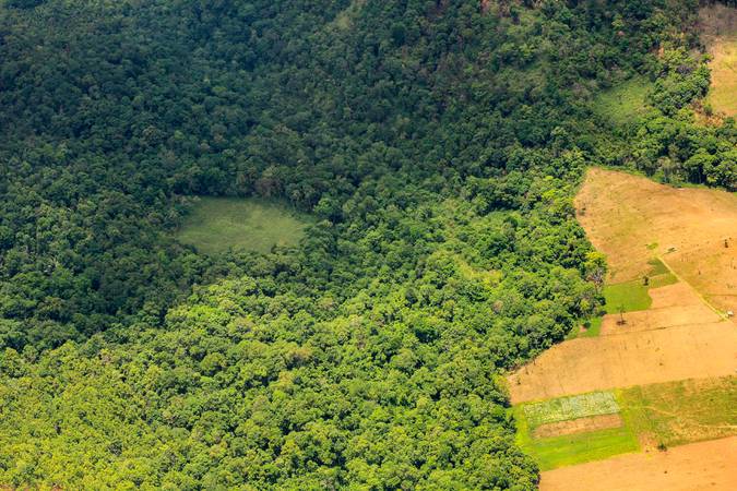 Deforestation in Thailand, aerial view of a large soy field eating into the tropical rainforest