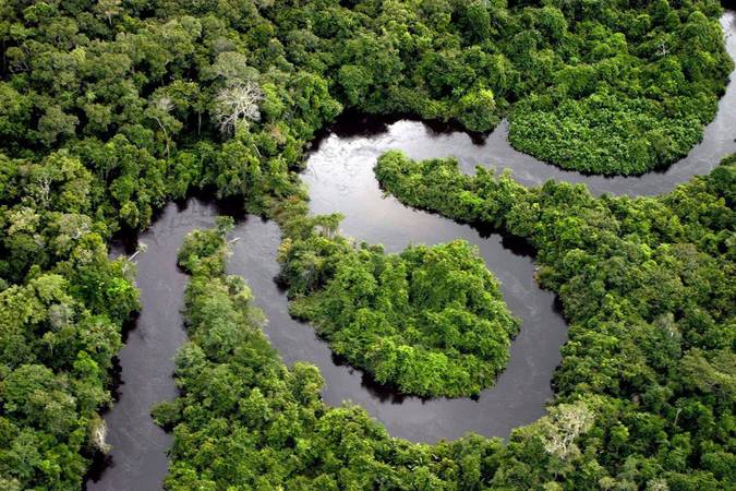 imagem aérea da floresta amazônica serpenteada pelo Rio Amazonas.