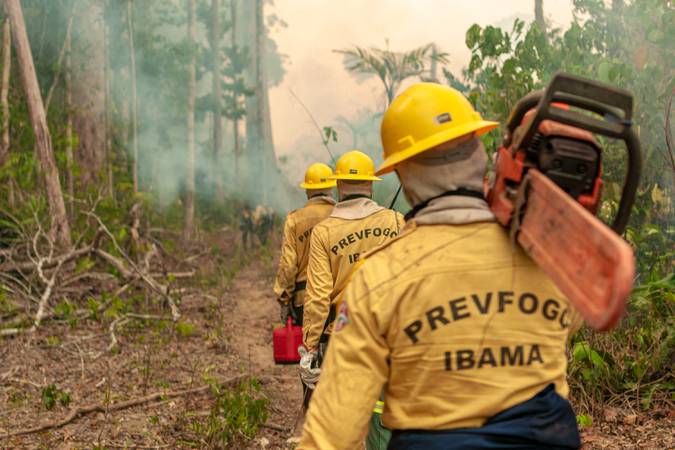 Brigada do Ibama caminhando para incêndio na Amazônia.