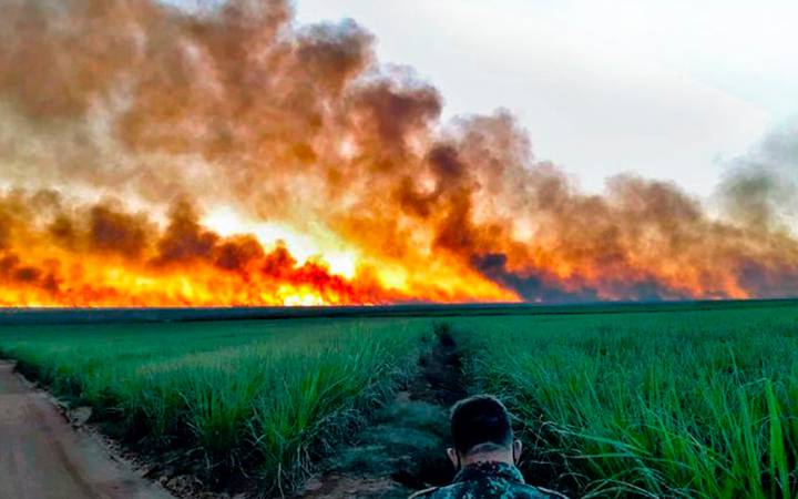 Vegetação do Pantanal em chamas.