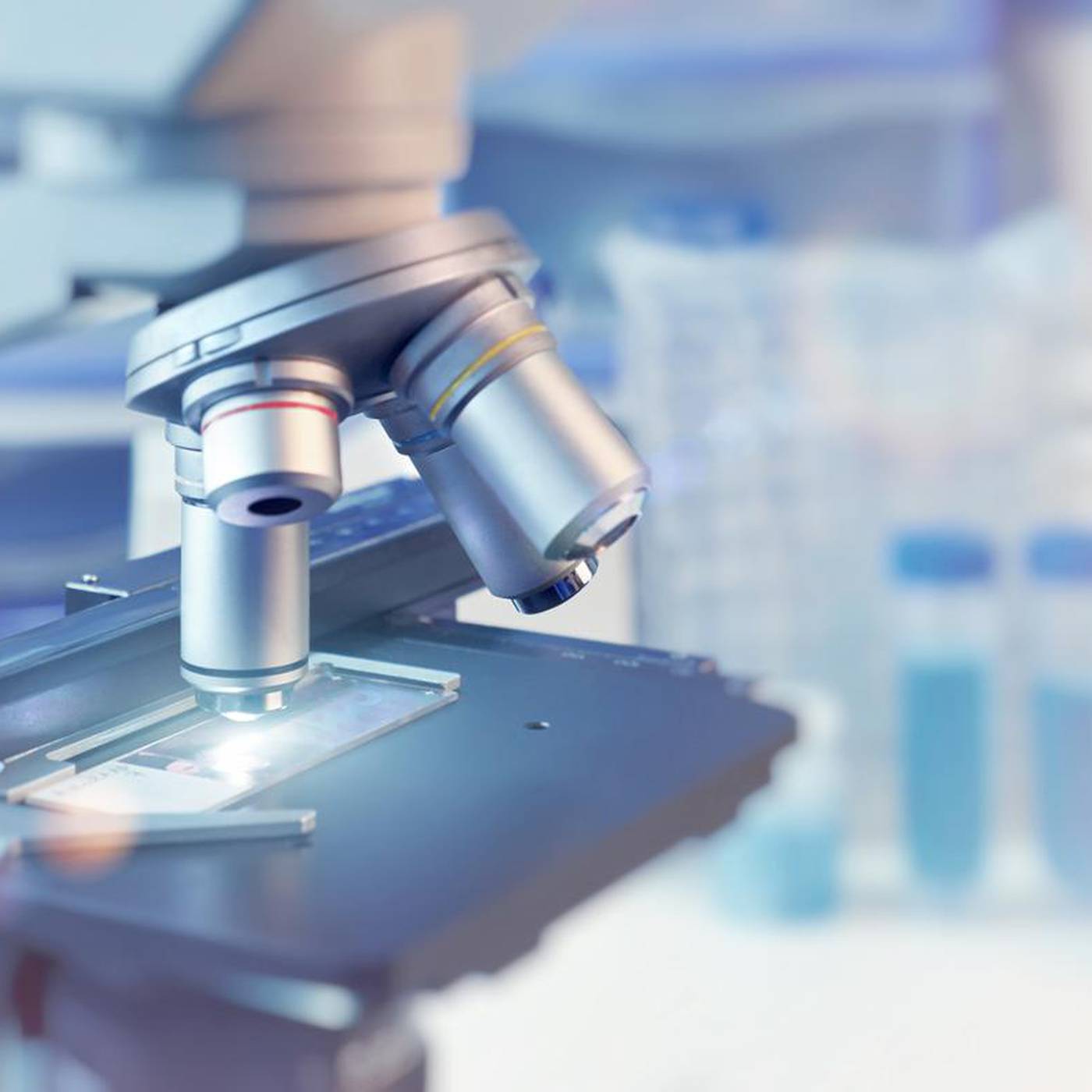 CeT no contexto internacional CeT no contexto internacional