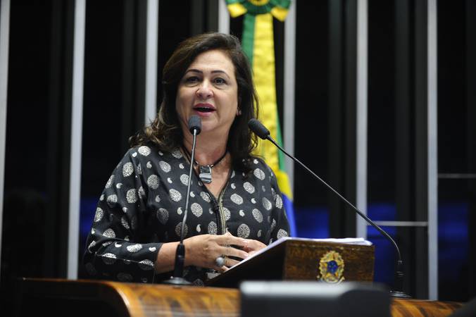Plenário do Senado durante sessão deliberativa ordinária.

Em discurso, senadora Kátia Abreu (PMDB-TO).

Foto: Moreira Mariz/Agência Senado