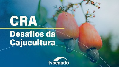 Ao vivo: Comissão de Agricultura debate os desafios da cajucultura no Brasil