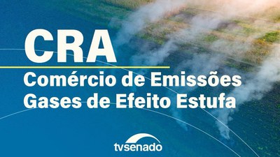 CRA debate regulamentação do mercado de carbono com o setor privado