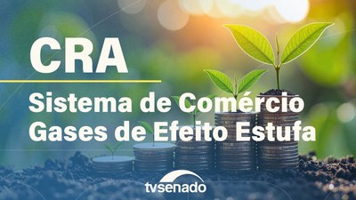 CRA debate regulamentação do Sistema Brasileiro de Comércio de Emissões