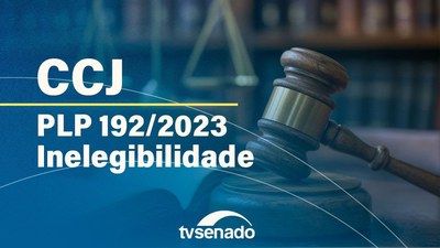 Ao vivo: CCJ analisa projeto que altera prazos da Lei da Ficha Limpa