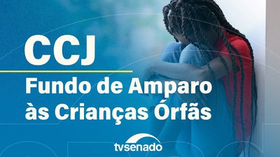 CCJ debate criação de fundo e programa de amparo a crianças órfãs