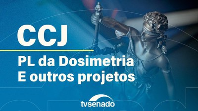 CCJ analisa projeto sobre dosimetria da pena e crimes contra o Estado