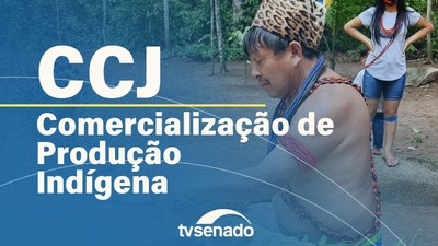 CCJ debate PEC que autoriza produção e comércio por povos indígenas