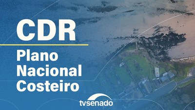 Comissão de Desenvolvimento Regional debate acesso público a praias