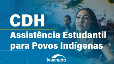 CDH discute assistência estudantil para povos indígenas