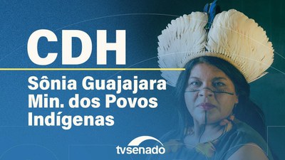 CDH ouve ministra dos Povos Indígenas sobre na Terra Indígena Uru-Eu-Wau-Wau