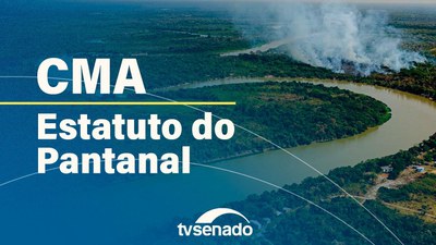 Ao vivo: Comissão de Meio Ambiente analisa Estatuto do Pantanal