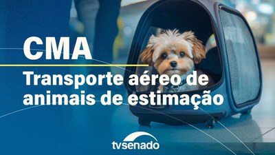 Ao vivo: Comissão de Meio Ambiente debate regras para o transporte de animais de estimação