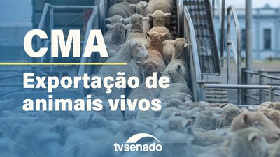 Comissão de Meio Ambiente debate exportação de animais vivos