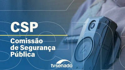 Ao vivo: CSP ouve diretor da PF sobre retenção de português em aeroporto