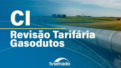 CI debate revisão tarifária dos gasodutos de transporte