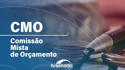 Comissão de Orçamento debate indícios de irregularidades em obras públicas