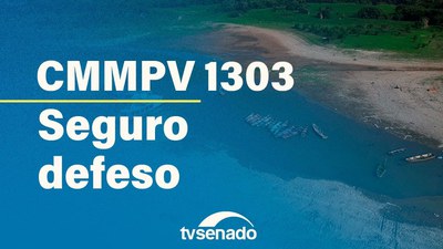 Comissão Mista debate MP 1.303 com pescadores