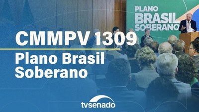 Comissão promove audiência com ministros sobre o Plano Brasil Soberano