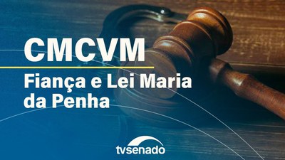 Ao vivo: Comissão de Combate à Violência contra Mulher debate fiança e Lei Maria da Penha