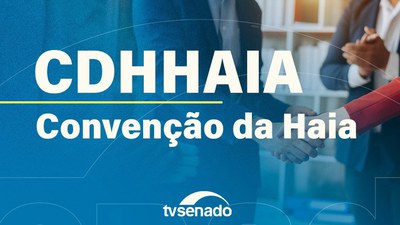 Subcomissão debate aplicação da Convenção da Haia em contextos de violência