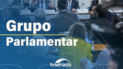 Grupo Parlamentar Brasil–Japão discute cooperação bilateral