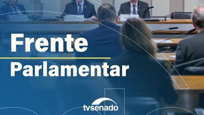 Frente Parlamentar por um Brasil sem Jogos de Azar elege Comissão Executiva