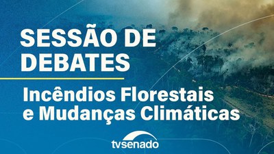 Ao vivo: Senado debate incêndios florestais e mudanças climáticas