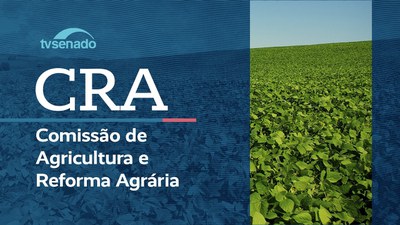 Sessão para discursos de senadores