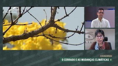 Entenda o papel do Cerrado na mitigação das mudanças climáticas