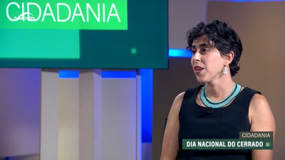 Dia Nacional do Cerrado: O que celebrar em 11 de setembro?