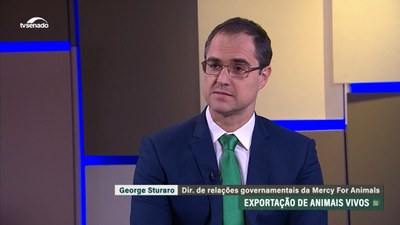 Transporte de animais vivos em navios causa sofrimento e sistema de exportação é questionado